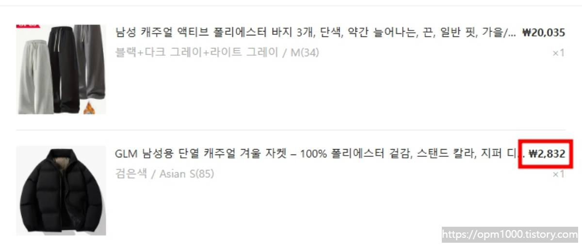 해외직구-테무-겨울-패딩-가격-2800원-주문내역-인증-주변-지인들-반응-아무도-안믿음