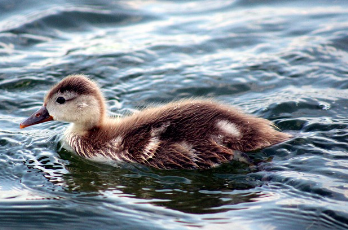이재명 대선공약 쉽게 정리 11