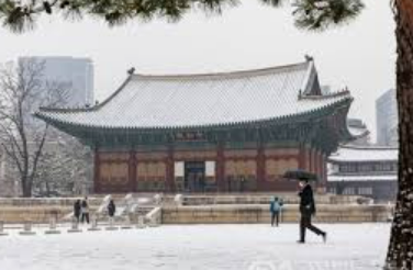 대설주의보로 궁&middot;능 관람 변경