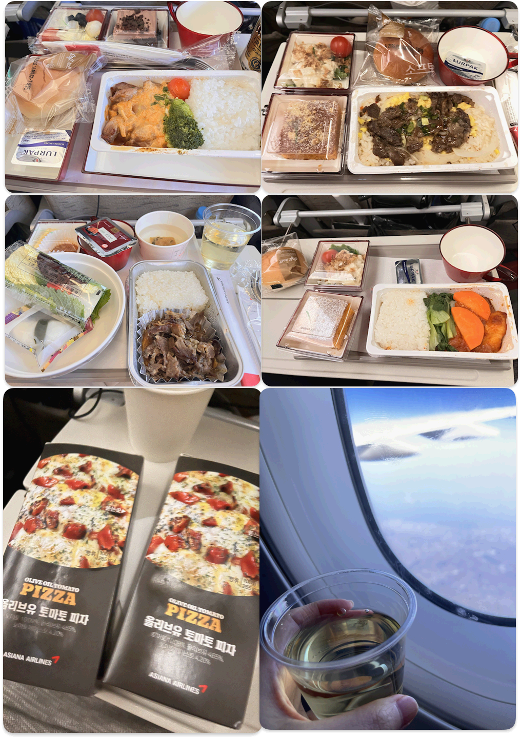 아시아나항공 OZ541편 기내식 후기 – 인천-프랑크푸르트 직항 기내식 솔직 리뷰!