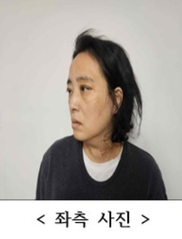 대전 초등생 흉기 사건