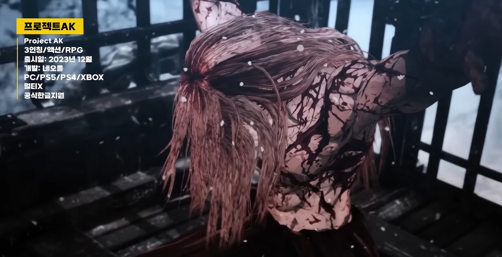 출시예정 게임 모바일 / PC - 프로젝트AK