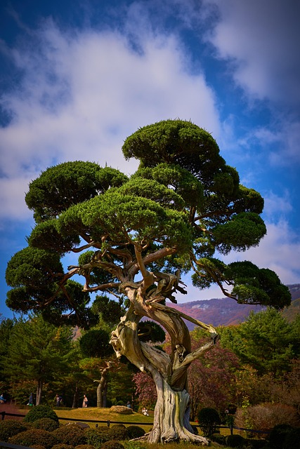 봄철 기관지 건강 관리법