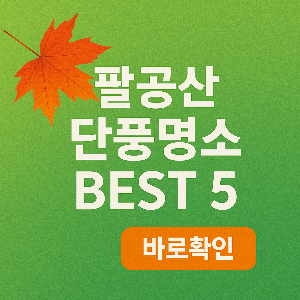 팔공산 단풍 명소