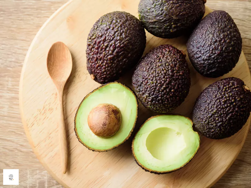 아보카도 사진