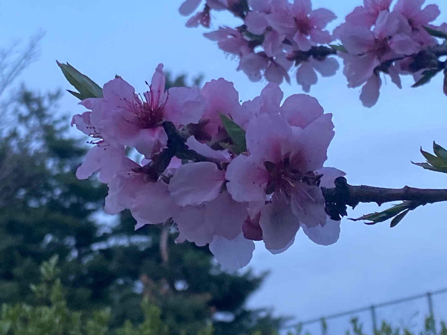 Alt 속성 문제 해결 설명 이미지