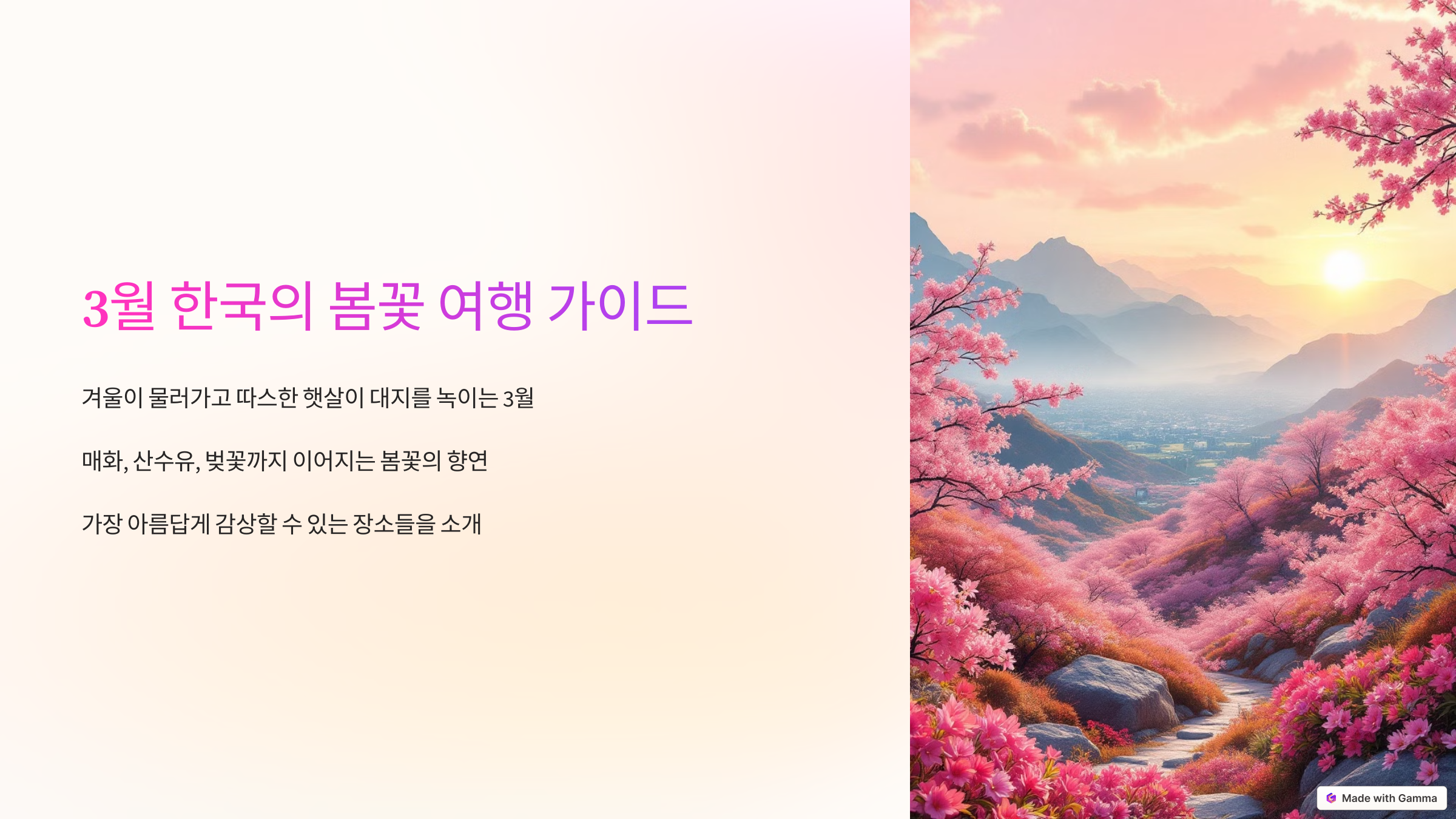3월 한국의 봄꽃 여행 가이드