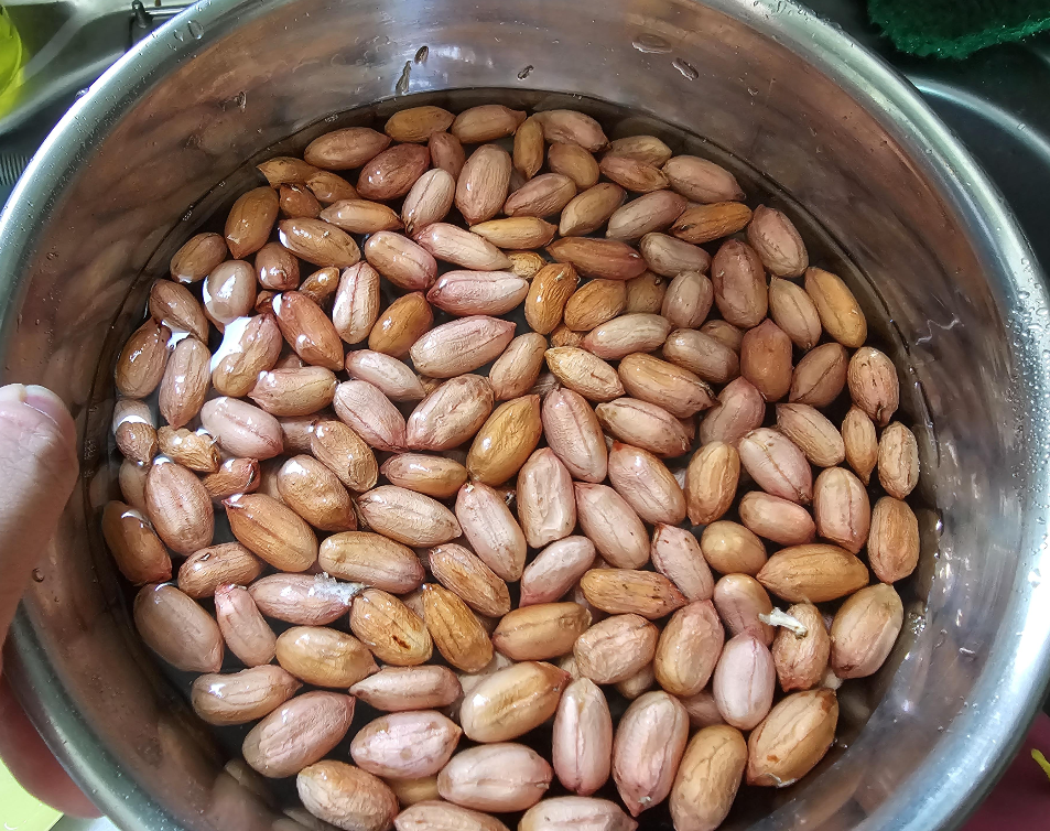 땅콩을 깨끗하게 씻습니다