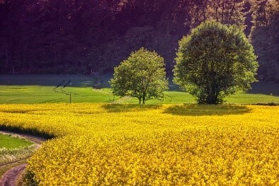 미세먼지와 초미세먼지의 차이점 초미세먼지 농도 확인 방법
