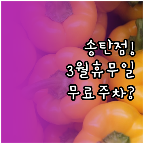 홈플러스 송탄점 3월 휴일 정보와 무..