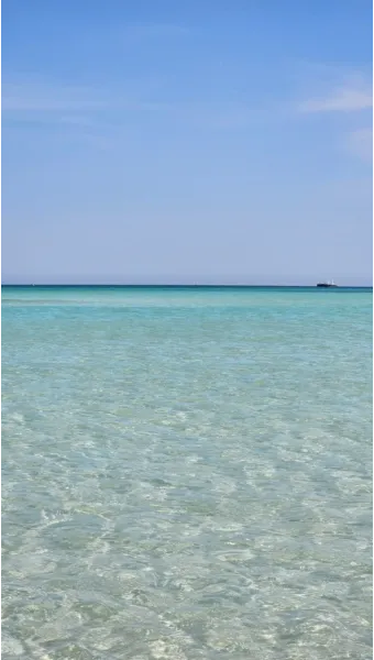 제주도 날씨 주간예보 4월 5월 전망_12