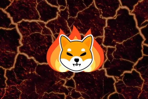 시바이누코인-심볼