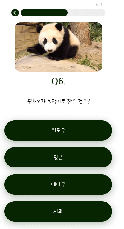 푸바오 덕후력 테스트 