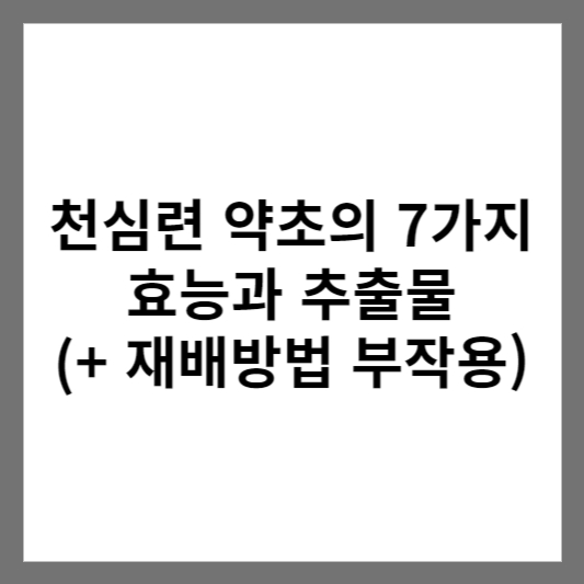 천심련 약초의 7가지 효능과 추출물 (+ 재배방법 부작용)