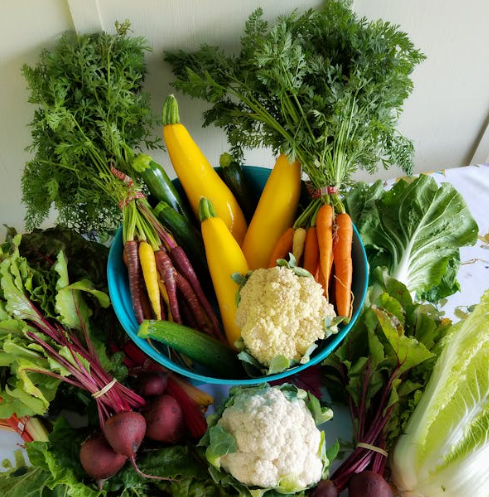 식은 밥 + 건강 채소 + 계란의 기분 좋은 조화 🍽️