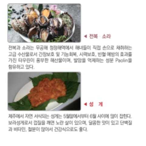 가파도 청보리 축제