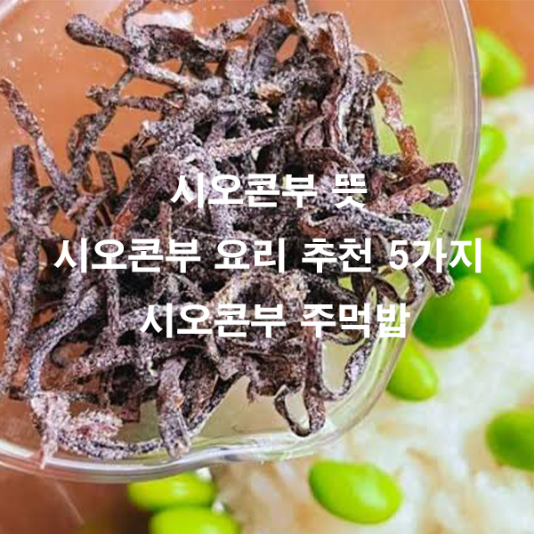 시오콘부 뜻 시오콘부 요리 추천 5가지 시오콘부 주먹밥