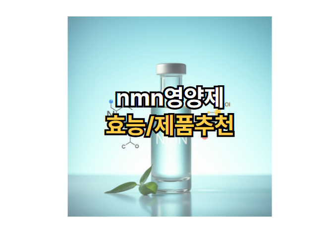 nmn영양제-효능-제품-추천