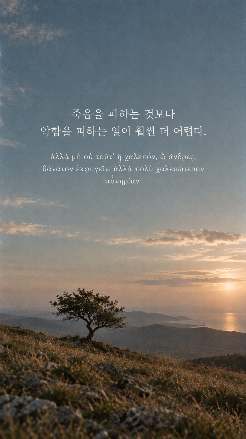 플라톤 명언 24 죽음을 피하는 것보다 악함을 피하는 일이 훨씬 더 어렵다. 바람 속에 서 있는 작은 나무 배경의 한글·그리스어 세로 이미지