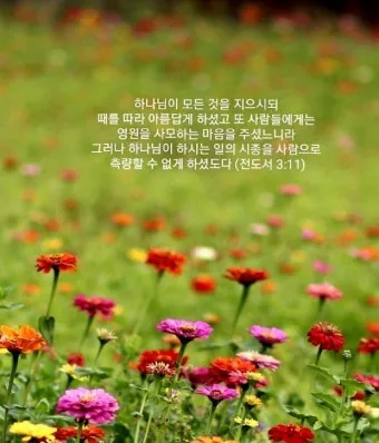 전도서 3장 모든일의 때 성경 해석_26