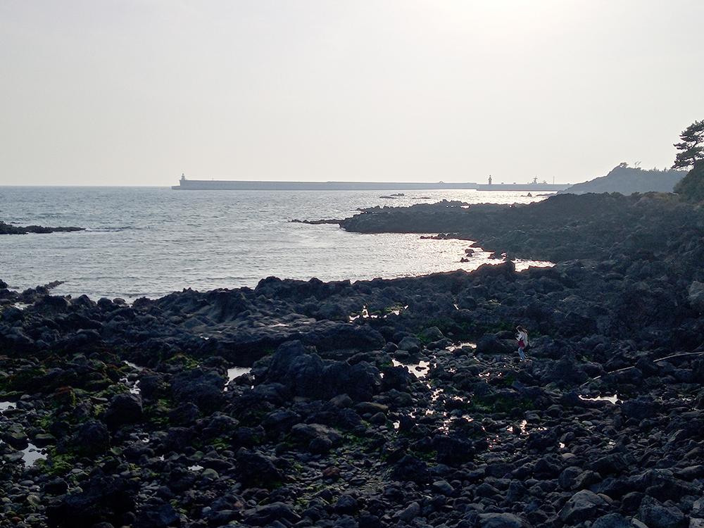 법환마을과 강정마을이 경계선 '두머니물(두면이물)'