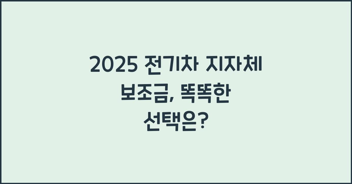 2025 전기차 지자체 보조금