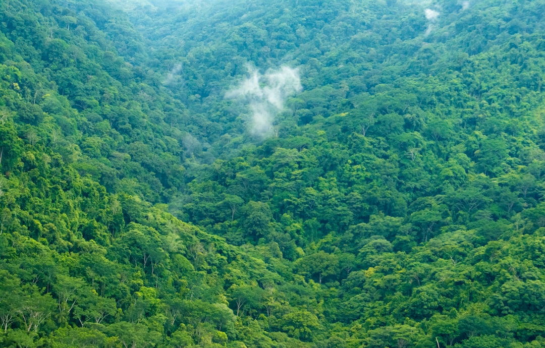 Sustainability