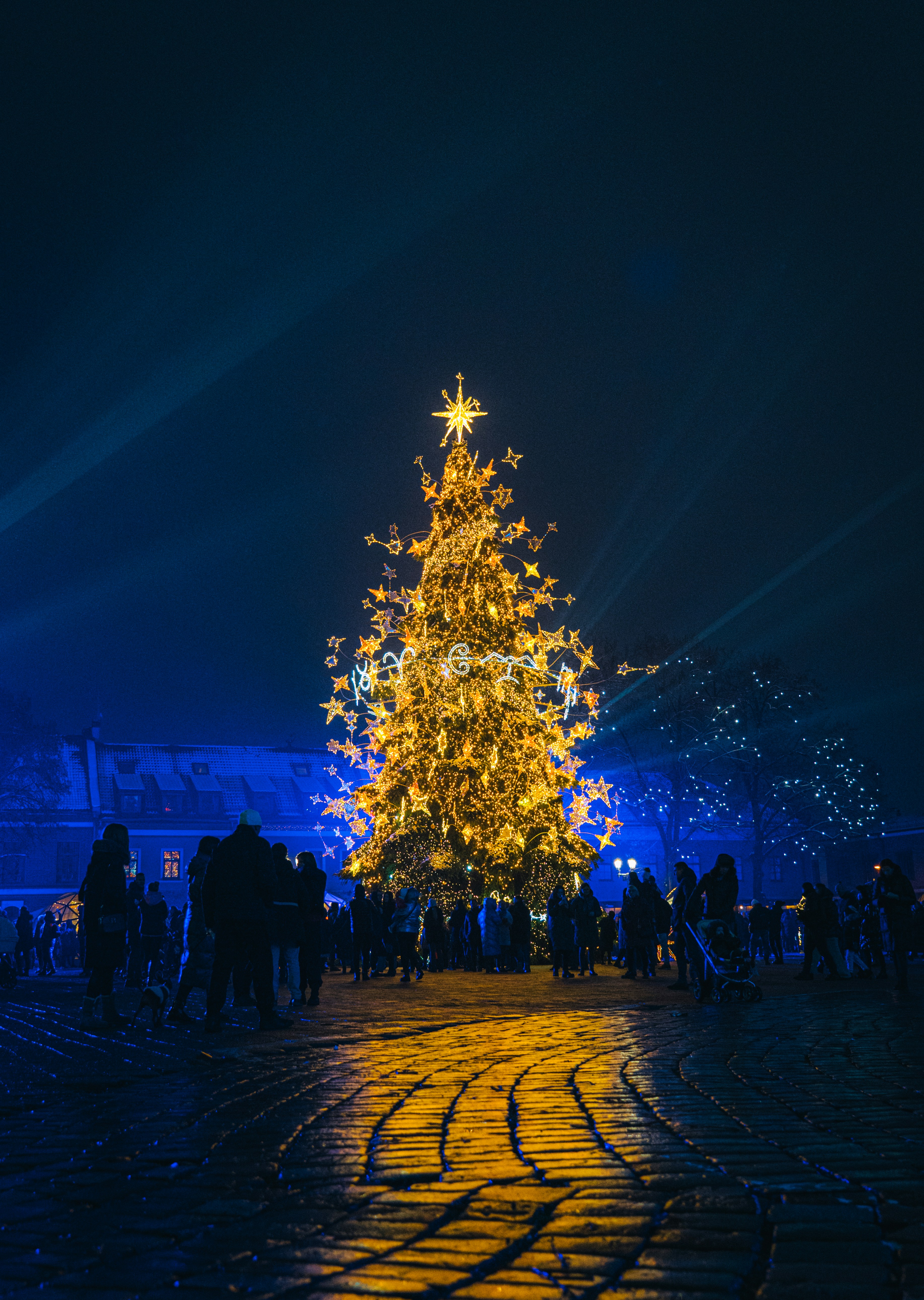 서울 크리스마스 데이트