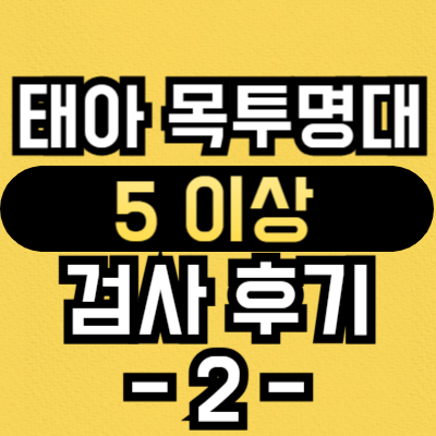 태아-목투명대-검사-후기-2