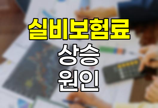 실비보험료 상승의 숨겨진 원인과 대책