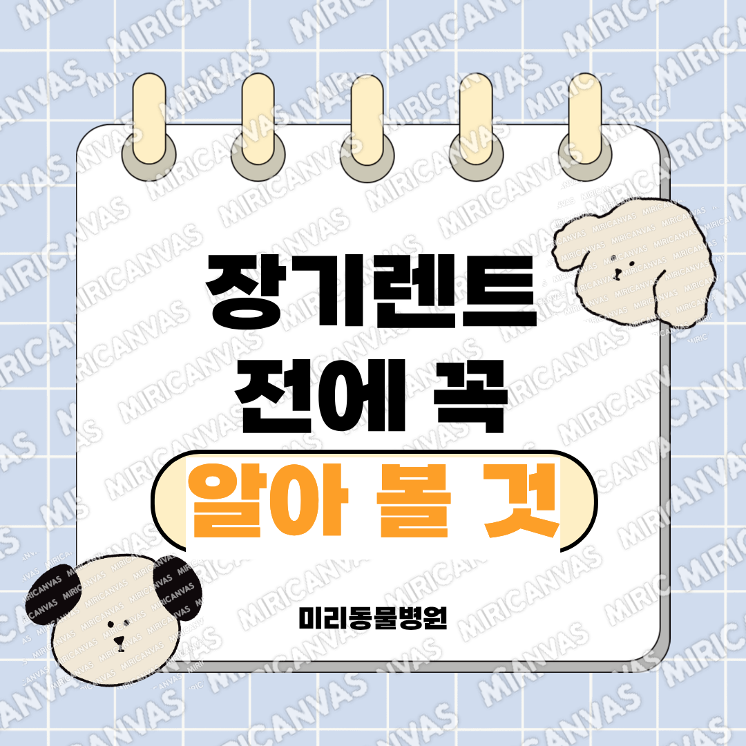 장기렌트 전에 꼭 알아 볼 것