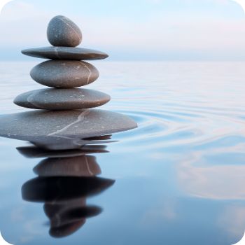 대통령선거 투표 안하면