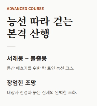 내장산 단풍축제 기간