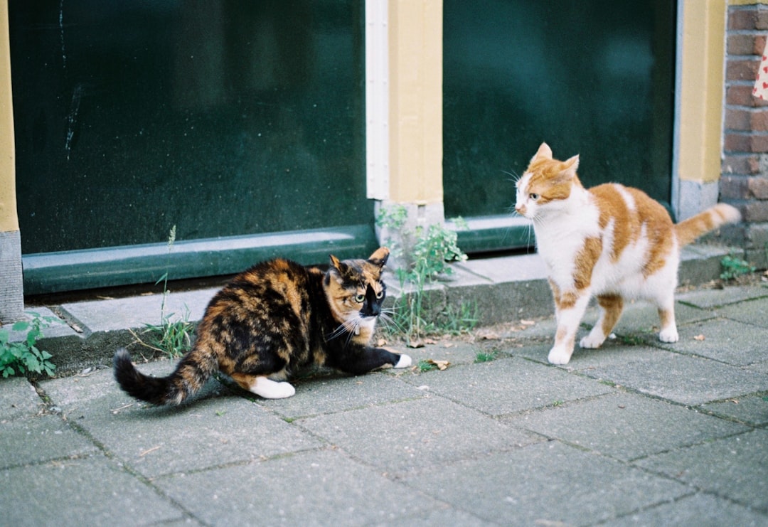 Joint ownership.