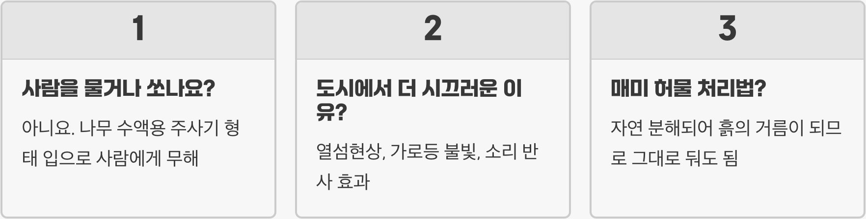 말매미는 해충일까 익충일까? 나무에 미치는 영향과 생태계 역할