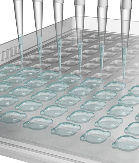 큐리옥스바이오시스템즈 공모주