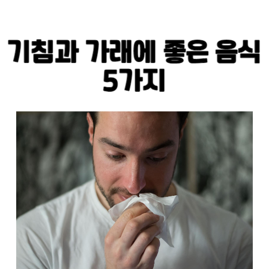기침과 가래에 좋은 음식