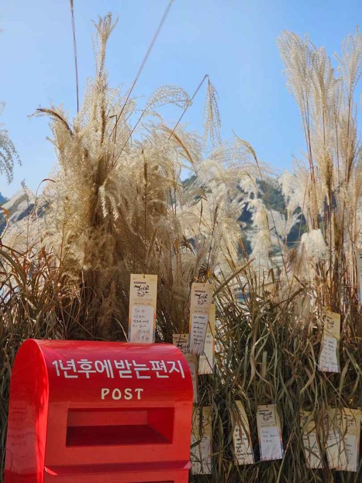 10월 경기 지역 가을 축제