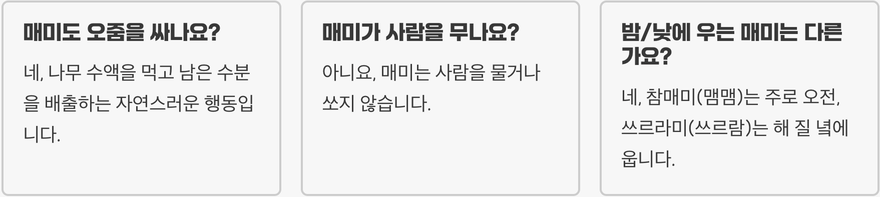 참매미 키우기 A to Z (약충 채집부터 우화, 성충 사육까지 완벽 가이드)