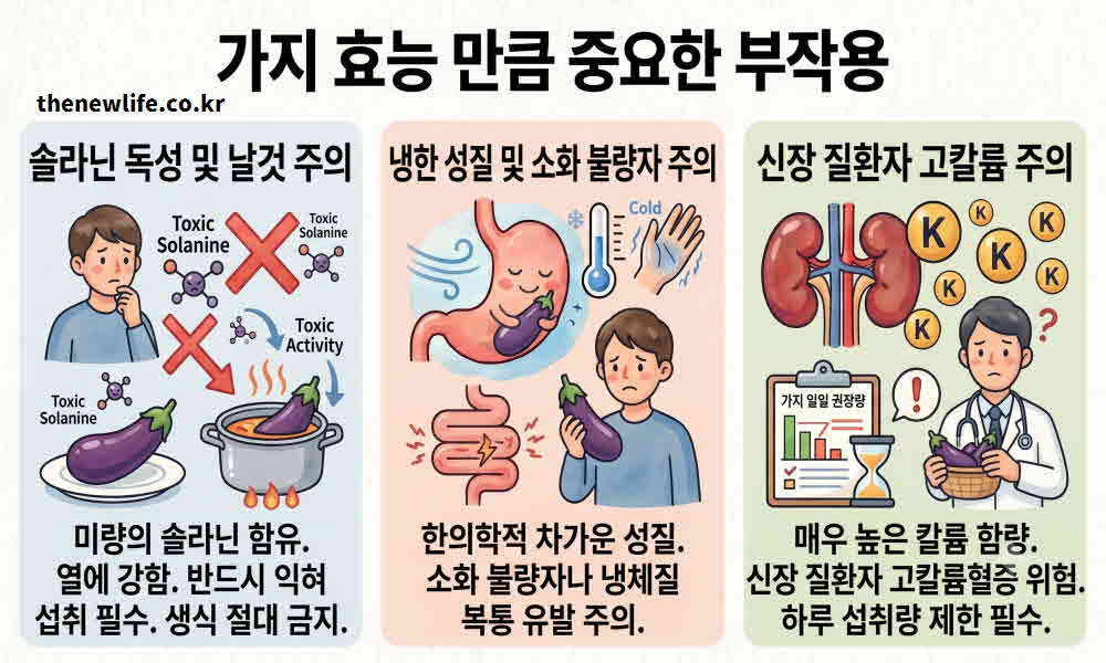 가지 효능 부작용