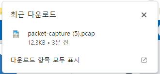 Packet Capture