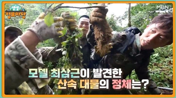 이건뭐고 심마니 체험 모델 최삼근 발견 산속 대물 약초 산도라지, 산더덕, 칡, 겨우살이, 천마, 하수오, 산삼, 송이, 능이 문의 추천