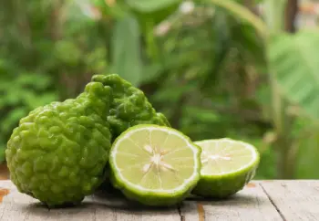 베르가못 효능 효과&amp;#44; 베르가못 제품