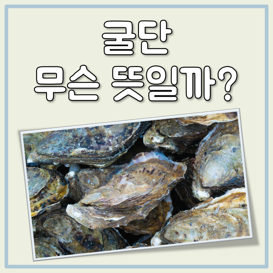 굴단 뜻