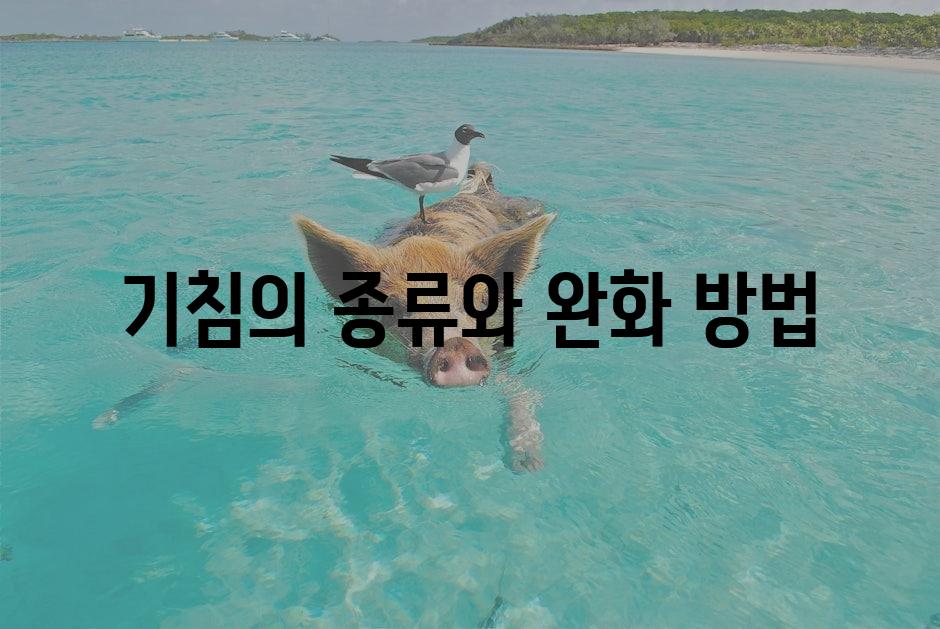 샘플 (1)