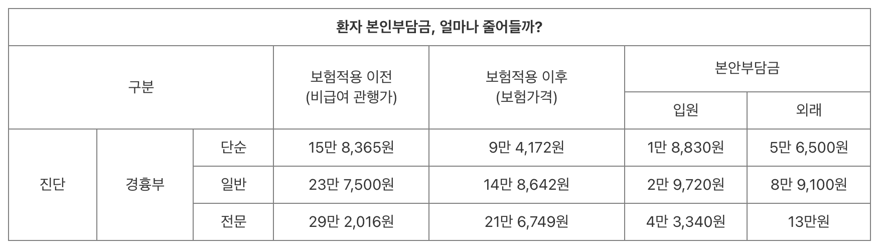 환자 본임부담금 표