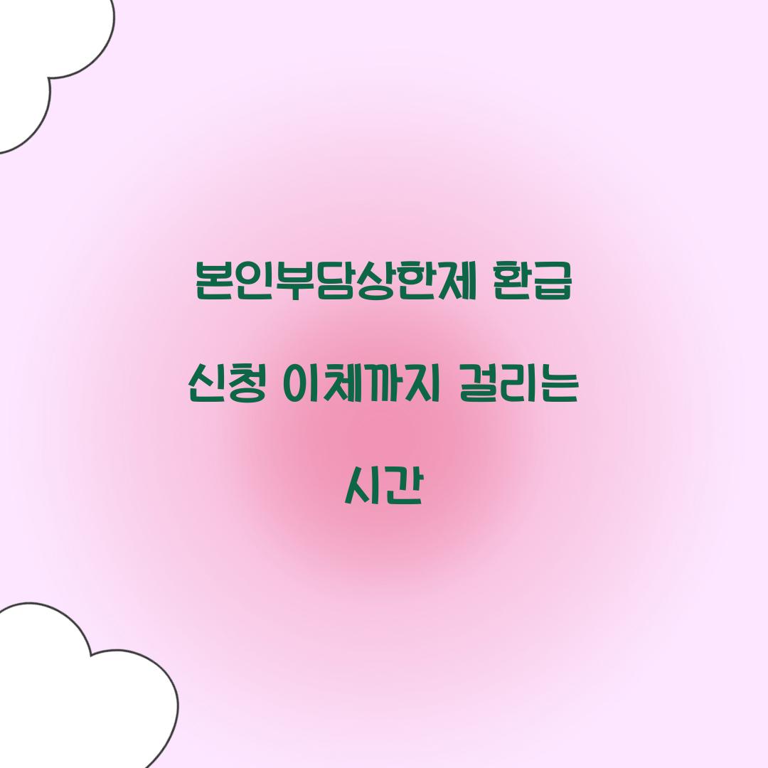 본인부담상한제 환급 신청 이체까지 걸리는 시간
