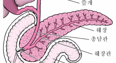 췌장에좋은음식이미지