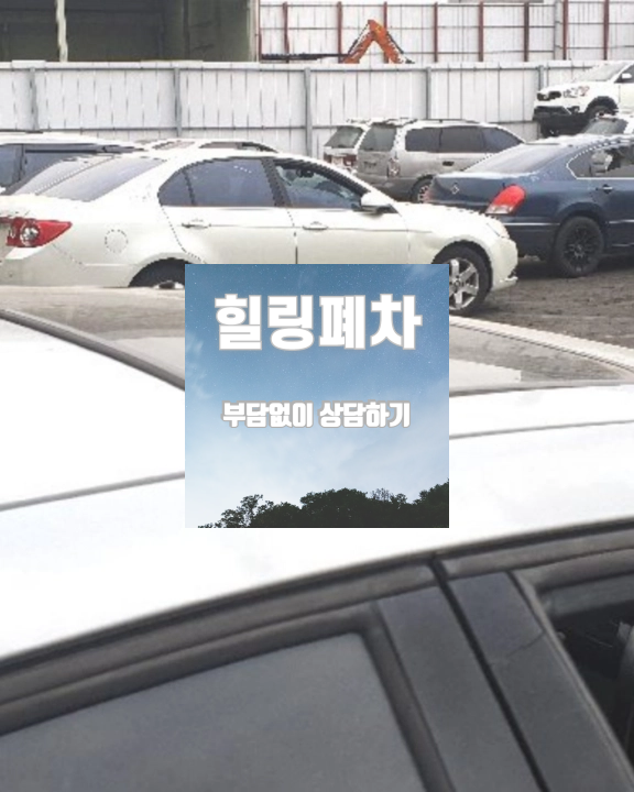 성남 분당구폐차장 방치 차량 자진 폐차 접수