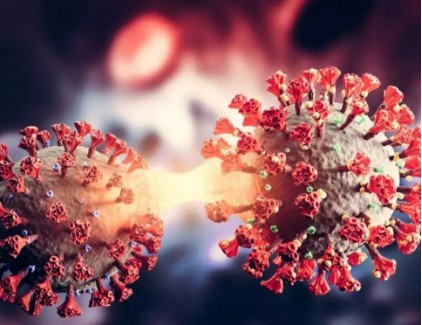 켄타우로스 변이